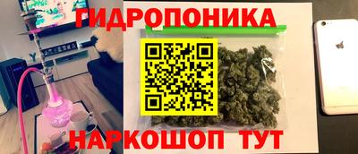 стаф Лесосибирск