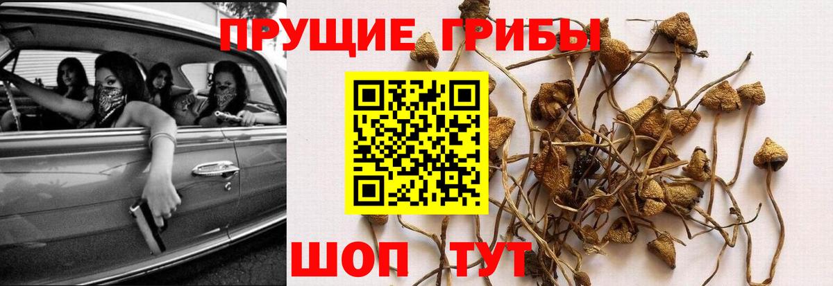 Галлюциногенные грибы Psilocybine cubensis  Вход с VPN  Фрязино 