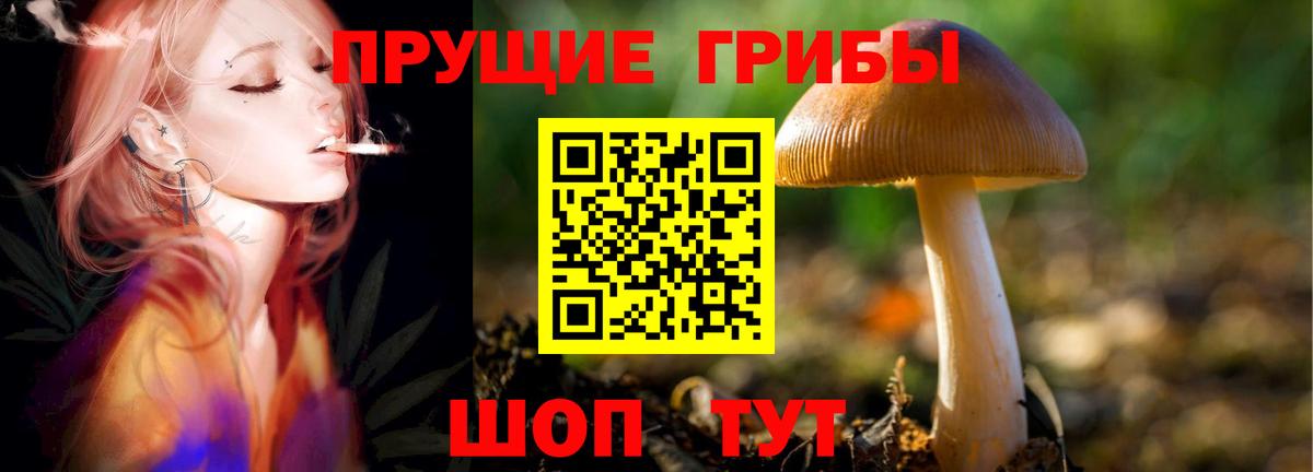 Галлюциногенные грибы мухоморы Фрязино